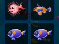 Permainan Kad ikan  talian