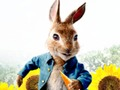 Permainan Peter Rabbit: Masalah dalam Maze  talian