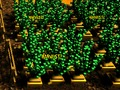Permainan Ladang Pixel talian