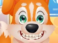 Permainan Doktor gigi anjing comel  talian