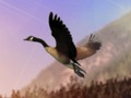 Permainan Pemburu Bebek talian
