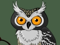 Permainan Ingatan Burung Hantu Comel talian