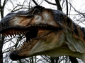 Permainan Jigsaw T-Rex Dinosaur  talian