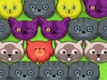 Permainan Kucing pop-pop talian