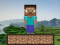 Permainan Kelangsungan Hidup Minecraft  talian