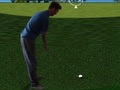 Permainan Flash Golf 3D  talian