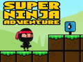 Permainan Ninja Super Adventure  talian