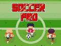 Permainan Bola sepak profesional  talian
