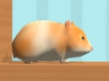 Permainan Hamster Maze Dalam Talian  talian