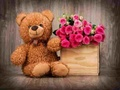 Permainan Teka Beruang Teddy comel talian