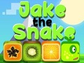 Permainan Jake Ular talian