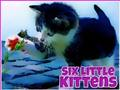 Permainan Enam kucing kecil talian