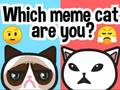 Permainan Kucing meme yang manakah anda? talian