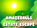 Permainan Amazeballs Estate Escape talian