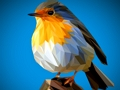 Permainan Jigsaw Burung Poli  talian