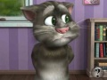 Permainan Bercakap Tom Cat 2  talian