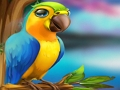 Permainan Melarikan Burung Nuri Kecil talian