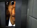 Permainan Obunga Nextbot Cari Perbezaan  talian