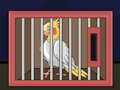 Permainan Lepaskan Burung Cockatiel  talian