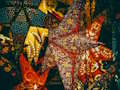 Permainan Jigsaw Bintang Krismas  talian