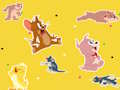 Permainan Pertunjukan Tom and Jerry Carilah!  talian