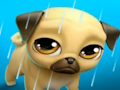 Permainan Haiwan Peliharaan Maya Saya Louie the Pug  talian