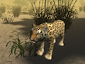 Permainan Simulator Memburu Cheetah Afrika  talian