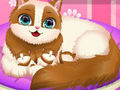 Permainan Kitty Comel Hamil  talian
