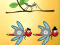 Permainan Cari Dragonfly Cooper  talian