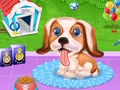 Permainan Anak anjing anjing peliharaan anjing talian