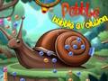 Permainan Evolusi Gelembung Pebble  talian