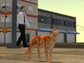 Permainan Simulator Bandar Kucing  talian