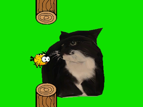 Permainan Burung flappy berputar oia oia kucing  talian
