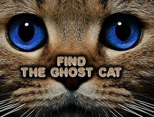 Permainan Cari kucing hantu  talian