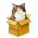 Cari kucing dalam talian
